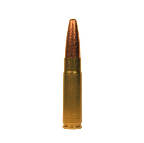 300 blk subsonic ammo