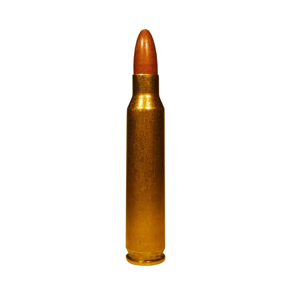 STEADFAST .223 REM 40gr Frangible (Ecomass) BLEM - 50 rds - FAST ...